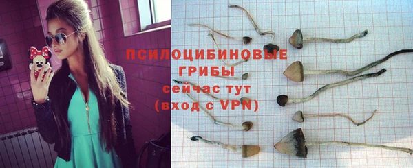 каннабис Белокуриха