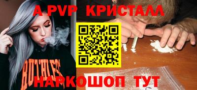 спиды Кимры