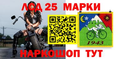 спиды Кимры