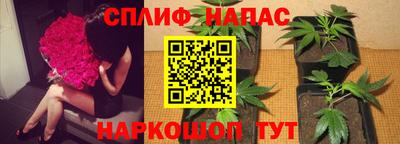 прущие грибы Кинель