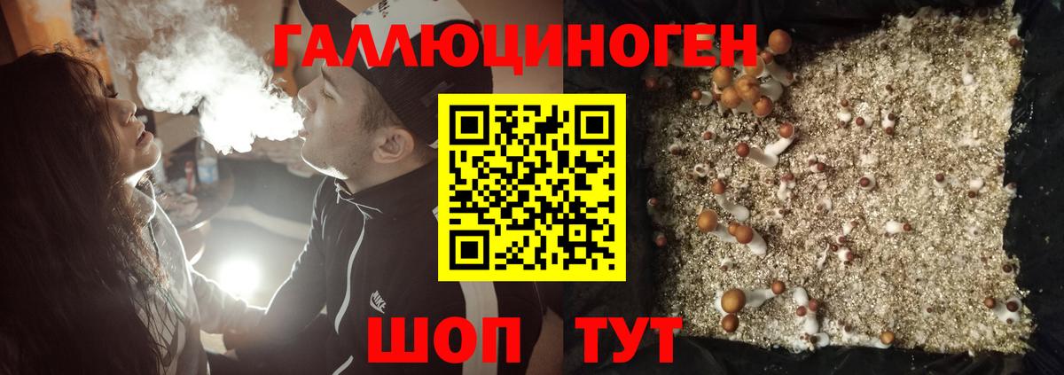 Галлюциногенные грибы Psilocybe Наро-Фоминск
